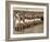 Manchester United Team before the Air Disaster at Munich-null-Framed Photographic Print