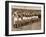 Manchester United Team before the Air Disaster at Munich-null-Framed Photographic Print