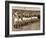 Manchester United Team before the Air Disaster at Munich-null-Framed Photographic Print