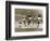 Manchester United vs. Arsenal, Football Match at Old Trafford, October 1967-null-Framed Photographic Print