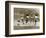 Manchester United vs. Arsenal, Football Match at Old Trafford, October 1967-null-Framed Photographic Print