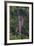 Manchewe Falls Near Livingstonia, Malawi, Africa-Michael Runkel-Framed Photographic Print