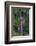 Manchewe Falls Near Livingstonia, Malawi, Africa-Michael Runkel-Framed Photographic Print