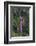 Manchewe Falls Near Livingstonia, Malawi, Africa-Michael Runkel-Framed Photographic Print