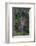 Manchewe Falls Near Livingstonia, Malawi, Africa-Michael Runkel-Framed Photographic Print