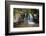 Manchewe Falls Near Livingstonia, Malawi, Africa-Michael Runkel-Framed Photographic Print