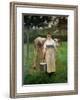 'Manda Lametrie, the Farm Maid, 1887' Giclee Print - Alfred Roll | Art.com