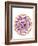 Mandala 5-Julie Goonan-Framed Giclee Print