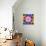 Mandala, Colourful, 'Color Geometry'-Alaya Gadeh-Photographic Print displayed on a wall