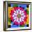 Mandala, Colourful, 'Color Geometry'-Alaya Gadeh-Framed Photographic Print