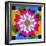 Mandala, Colourful, 'Color Geometry'-Alaya Gadeh-Framed Photographic Print