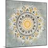 Mandala Delight I Yellow Grey-Danhui Nai-Mounted Art Print