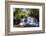 Mandala Falls Flowing in the Artificial Lake on the Mulunguzi Dam, Zomba Plateau, Malawi, Africa-Michael Runkel-Framed Photographic Print