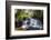 Mandala Falls Flowing in the Artificial Lake on the Mulunguzi Dam, Zomba Plateau, Malawi, Africa-Michael Runkel-Framed Photographic Print