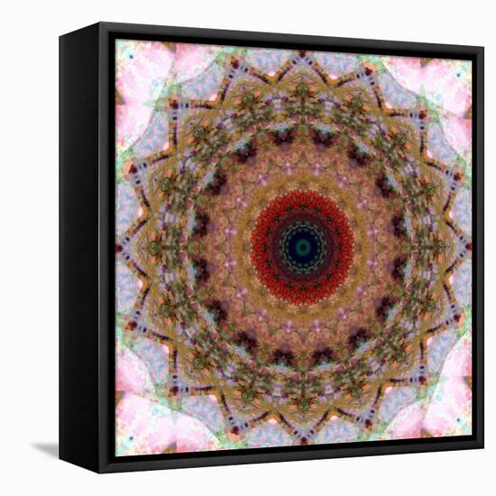 Mandala from Flowers-Alaya Gadeh-Framed Premier Image Canvas