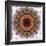 Mandala from Flowers-Alaya Gadeh-Framed Photographic Print