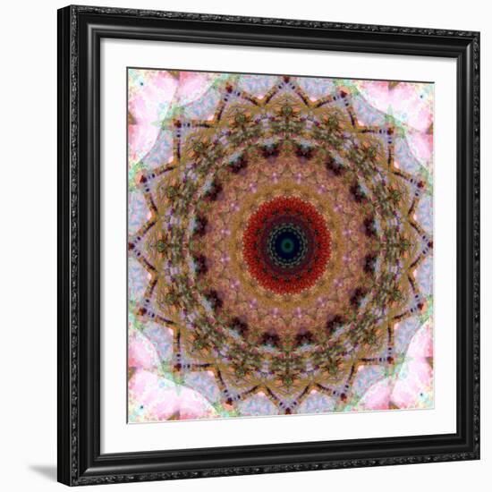 Mandala from Flowers-Alaya Gadeh-Framed Photographic Print