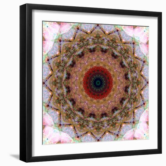 Mandala from Flowers-Alaya Gadeh-Framed Photographic Print