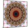 Mandala from Flowers-Alaya Gadeh-Mounted Photographic Print