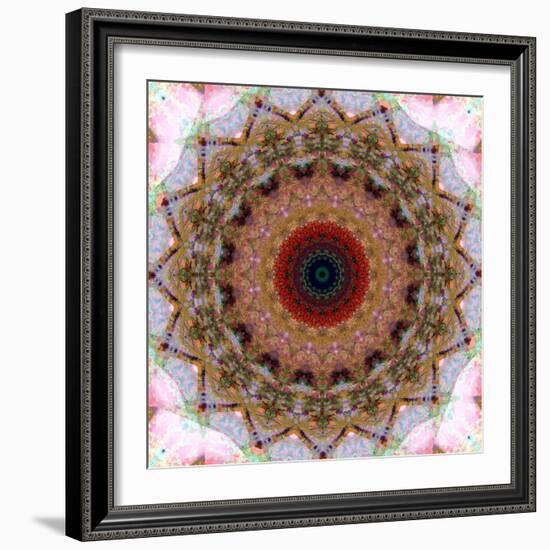 Mandala from Flowers-Alaya Gadeh-Framed Photographic Print