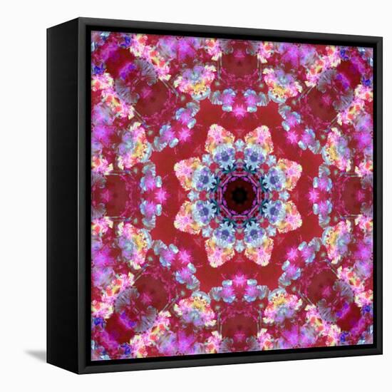 Mandala from Flowers-Alaya Gadeh-Framed Premier Image Canvas