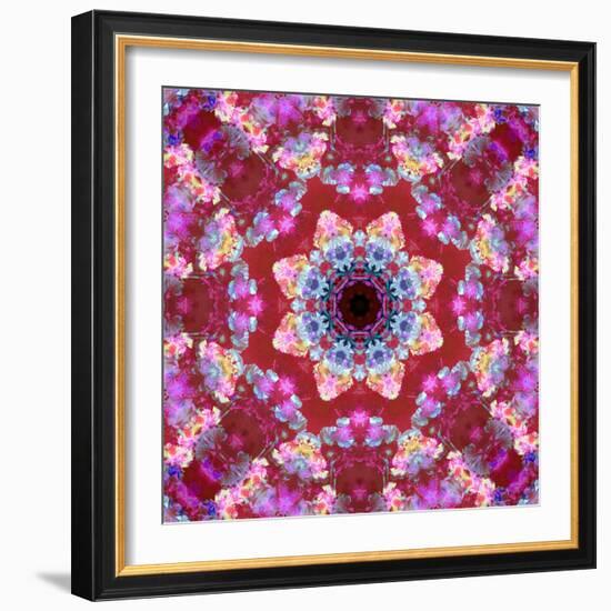 Mandala from Flowers-Alaya Gadeh-Framed Photographic Print