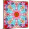 Mandala from Flowers-Alaya Gadeh-Mounted Photographic Print