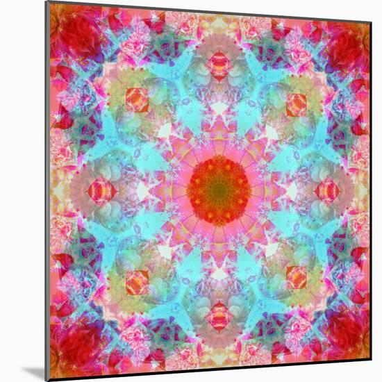 Mandala from Flowers-Alaya Gadeh-Mounted Photographic Print