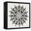 Mandala in Grey-Cat Coquillette-Framed Premier Image Canvas