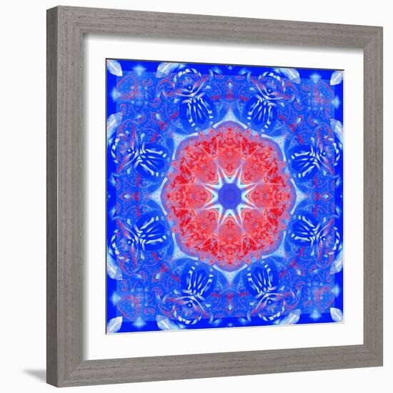 Mandala of Flower Photographies and Textures-Alaya Gadeh-Framed Photographic Print