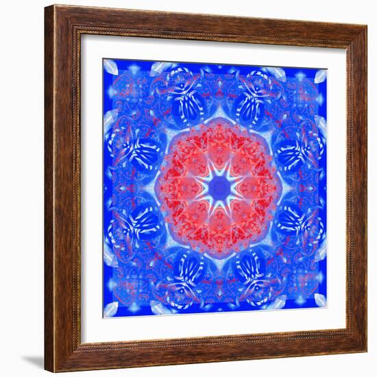 Mandala of Flower Photographies and Textures-Alaya Gadeh-Framed Photographic Print