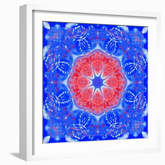 Mandala of Flower Photographies and Textures-Alaya Gadeh-Framed Photographic Print