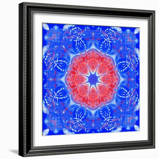 Mandala of Flower Photographies and Textures-Alaya Gadeh-Framed Photographic Print