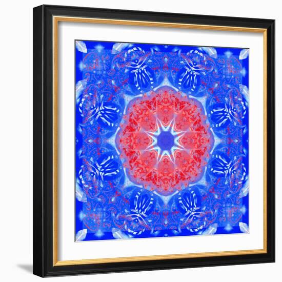 Mandala of Flower Photographies and Textures-Alaya Gadeh-Framed Photographic Print