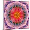 Mandala of Flower Photographies-Alaya Gadeh-Mounted Photographic Print