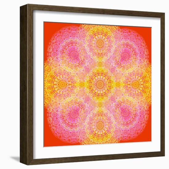 Mandala of Flower Photographies-Alaya Gadeh-Framed Photographic Print