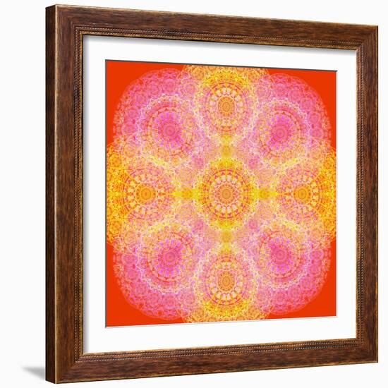 Mandala of Flower Photographies-Alaya Gadeh-Framed Photographic Print