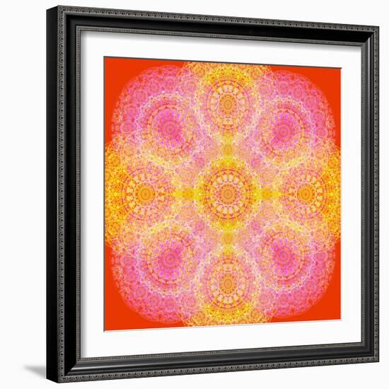 Mandala of Flower Photographies-Alaya Gadeh-Framed Photographic Print