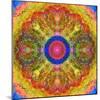 Mandala of Flower Photographies-Alaya Gadeh-Mounted Photographic Print