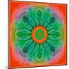 Mandala of Flower Photographies-Alaya Gadeh-Mounted Photographic Print