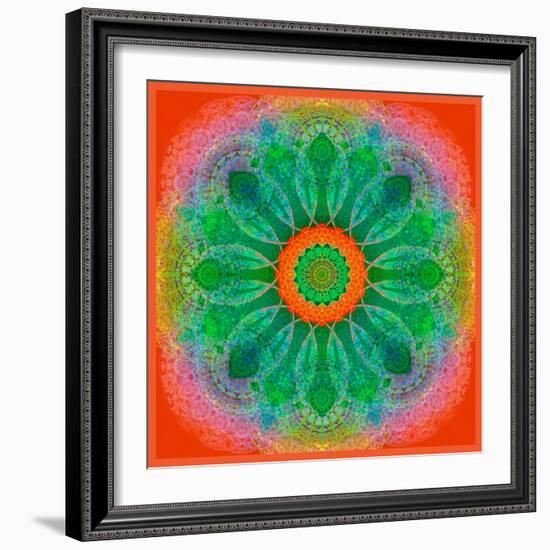 Mandala of Flower Photographies-Alaya Gadeh-Framed Photographic Print