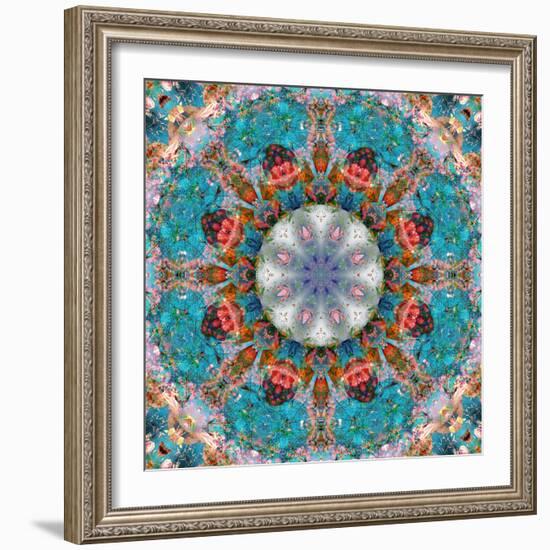 Mandala of Flower Photographies-Alaya Gadeh-Framed Photographic Print