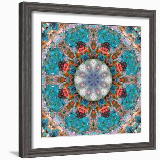 Mandala of Flower Photographies-Alaya Gadeh-Framed Photographic Print