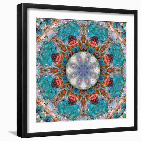 Mandala of Flower Photographies-Alaya Gadeh-Framed Photographic Print