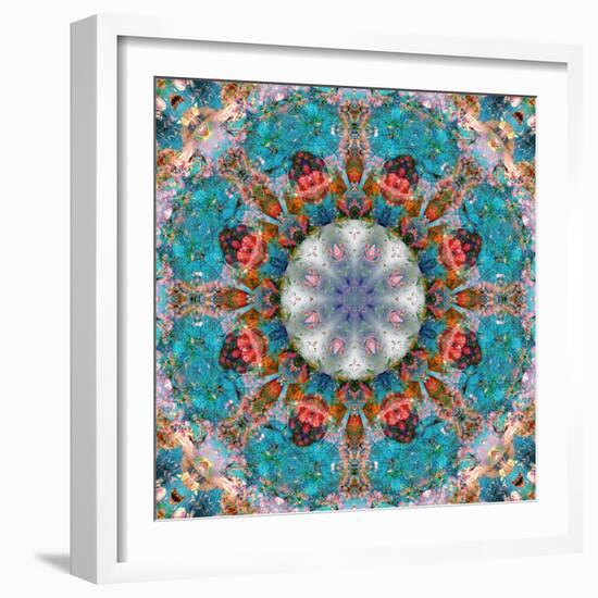 Mandala of Flower Photographies-Alaya Gadeh-Framed Photographic Print