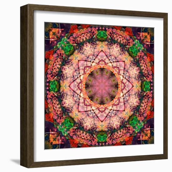 Mandala of Flower Photographies-Alaya Gadeh-Framed Photographic Print