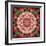 Mandala of Flower Photographies-Alaya Gadeh-Framed Photographic Print