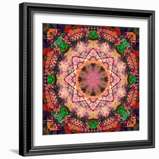 Mandala of Flower Photographies-Alaya Gadeh-Framed Photographic Print