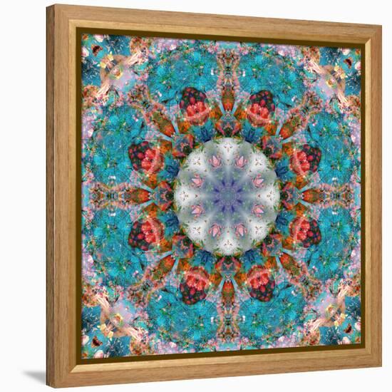 Mandala of Flower Photographies-Alaya Gadeh-Framed Premier Image Canvas