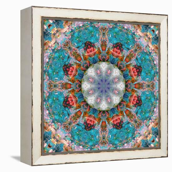 Mandala of Flower Photographies-Alaya Gadeh-Framed Premier Image Canvas